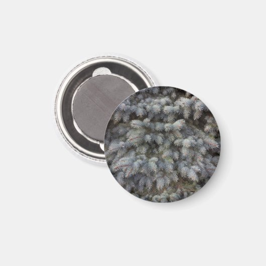 Staalknop, grijze, groene en blauwe sprouce magneet (Voorkant / Achterkant)