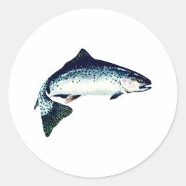 Staalkop zwemmen ronde sticker