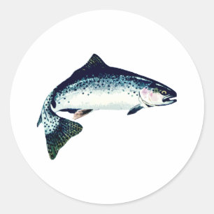 Staalkop zwemmen ronde sticker