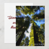 Staan hoog met de sequoia's feestdagenkaart (Voorkant / Achterkant)