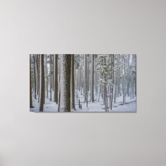 Staand hoog #1 canvas afdruk (Voorkant)