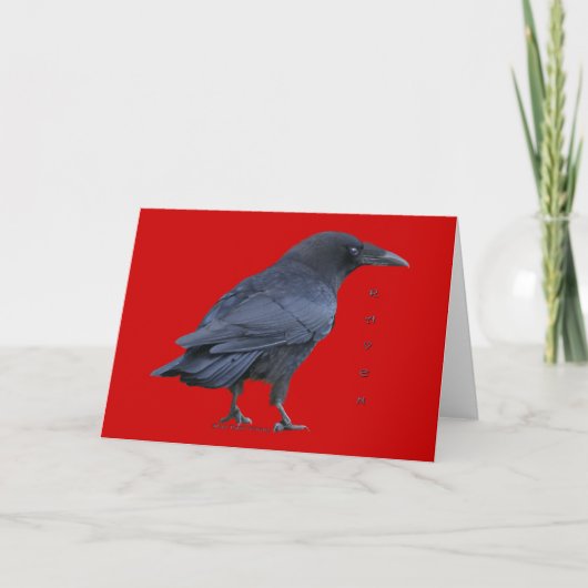 Staande Black Raven Art Collectible Kaarten (Voorkant)
