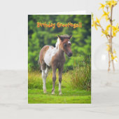 Staande Dartmoor Pony Foal verjaardagskaart Kaart (Gele Bloem)