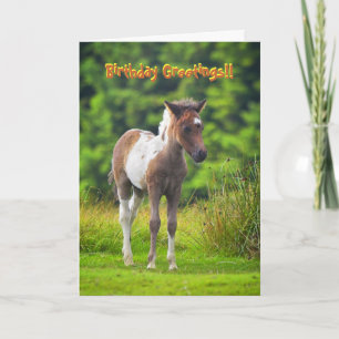 Staande Dartmoor Pony Foal verjaardagskaart Kaart