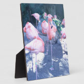 staande flamingo fotoplaat (Zijkant)