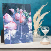 staande flamingo fotoplaat (Zijkant)