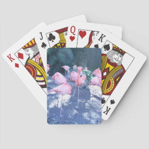staande flamingo speelkaarten