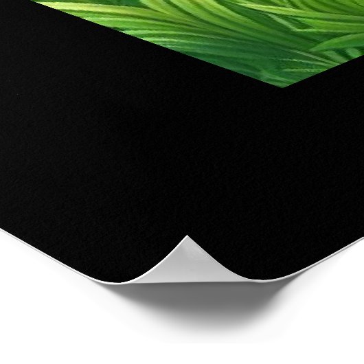 staande giraffe poster (Hoek)