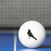 Staande Kanarie Vogel Pingpongbal (Net)