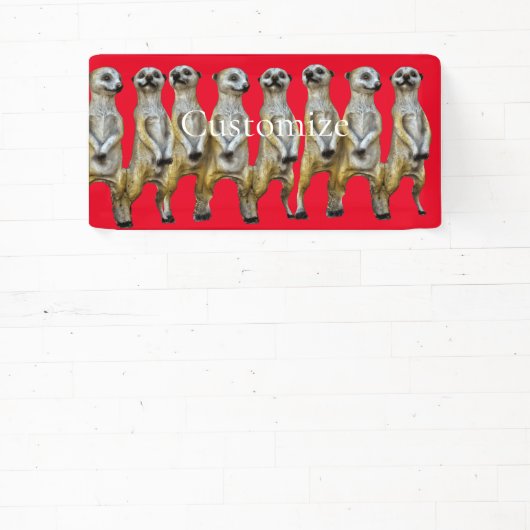 Staande Meerkats Thunder_Cove Spandoek (Insitu)