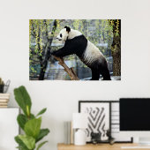 Staande Panda Poster (Thuiskantoor)