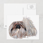 Staande Pekingees Briefkaart (Voorkant / Achterkant)