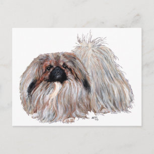 Staande Pekingees Briefkaart