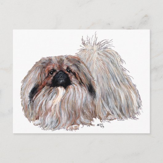 Staande Pekingees Briefkaart (Voorkant)