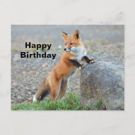 Staande Rode Vos Verjaardag Briefkaart