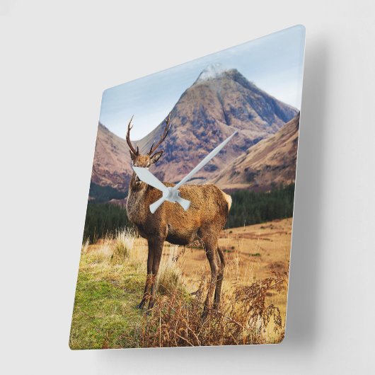 Staande wandklok (Hoek)