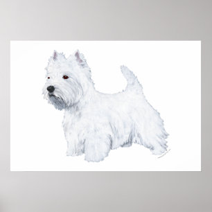 Staande Westie Poster