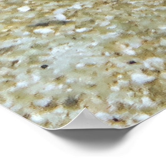 Staar naar beneden van de hagedissen poster (Hoek)