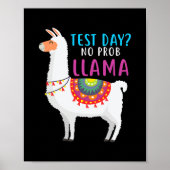 Staar Test Day No Probleem Llama Teacher Testing Poster (Voorkant)