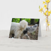 Staart die Manieren/de Kaart van het Jubileum (Gele Bloem)