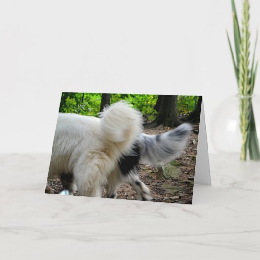 Staart die Manieren/de Kaart van het Jubileum (Voorkant)