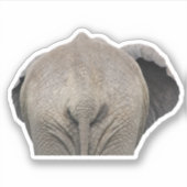 Staart olifant foto sticker (Voorkant)
