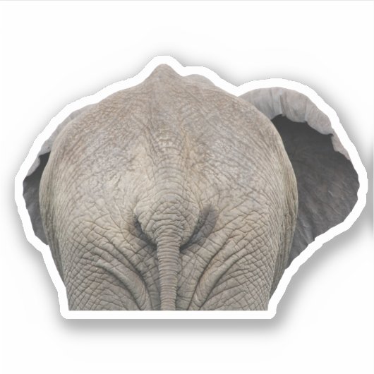 Staart olifant foto sticker (Voorkant)