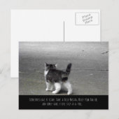 Staart omhoog (kitten) Briefkaart (Voorkant / Achterkant)