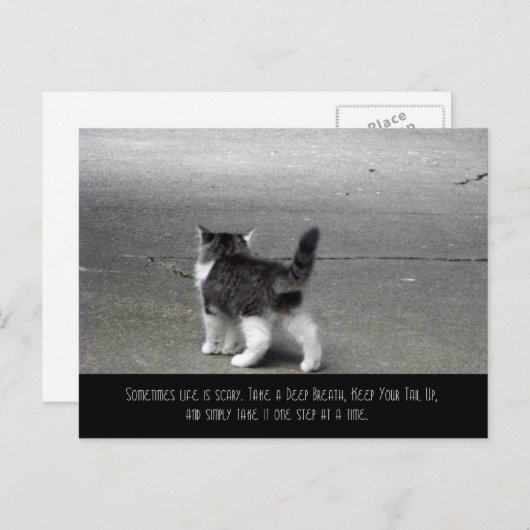 Staart omhoog (kitten) Briefkaart (Voorkant / Achterkant)