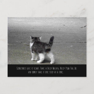 Staart omhoog (kitten) Briefkaart