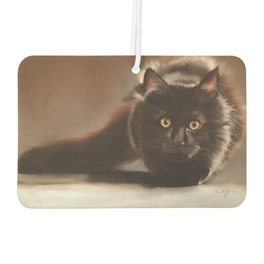 "staart" tekening in het droge stel luchtverfrisser (Achterkant)