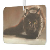 "staart" tekening in het droge stel luchtverfrisser (Links)