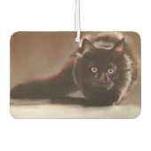 "staart" tekening in het droge stel luchtverfrisser (Voorkant)