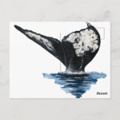 Staart van een walvis briefkaart (Achterkant)