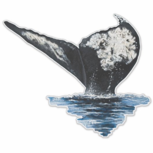 Staart van een walvis sticker (Voorkant)