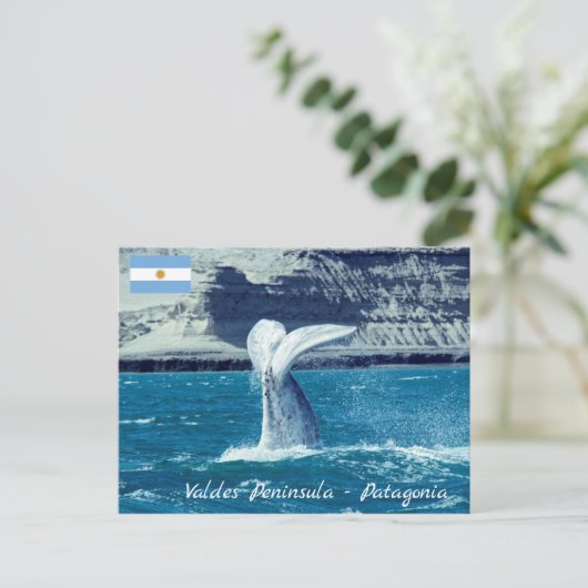 Staart van walviskalf - Argentinië Briefkaart (Staand voorkant)