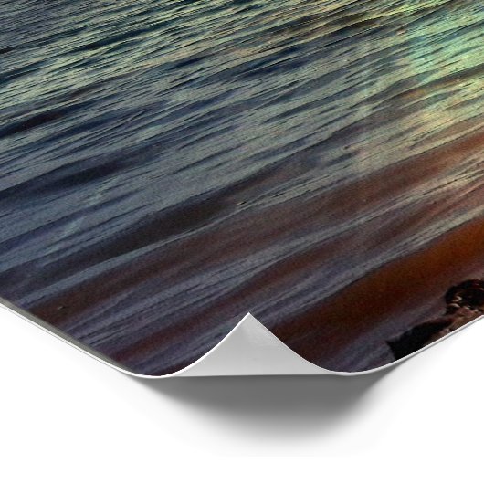 Staarten op zonsondergang poster (Hoek)