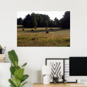 Staarten van Hay Poster (Thuiskantoor)