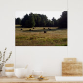 Staarten van Hay Poster (Keuken)