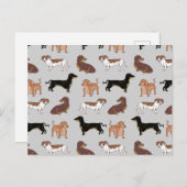 Staartshond hondenpatroon briefkaart (Voorkant / Achterkant)