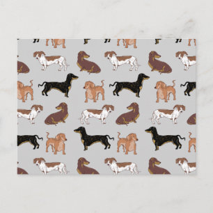 Staartshond hondenpatroon briefkaart