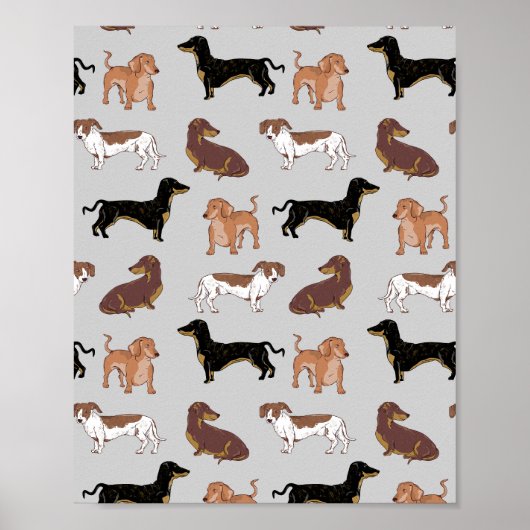 Staartshond hondenpatroon poster (Voorkant)
