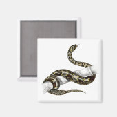 -staartslang magneet (Voorkant / Achterkant)