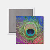 Staartveer van een pauw magneet (Voorkant / Achterkant)