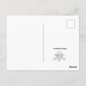 Staartvlinder - Ansichtkaart Briefkaart (Achterkant)