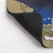 Staartvlinder van de kruidige struik muismat (Hoek)