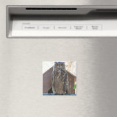 Staaruil Magneet (Insitu (Vaatwasser))