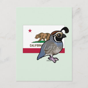 Staat Birdorable: Californische kwartel Briefkaart