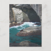 Staat Cape Flattery Washington Briefkaart (Voorkant)