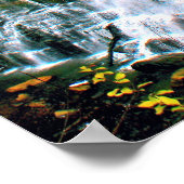 Staat Chittenango Herfsten Pak Poster (Hoek)